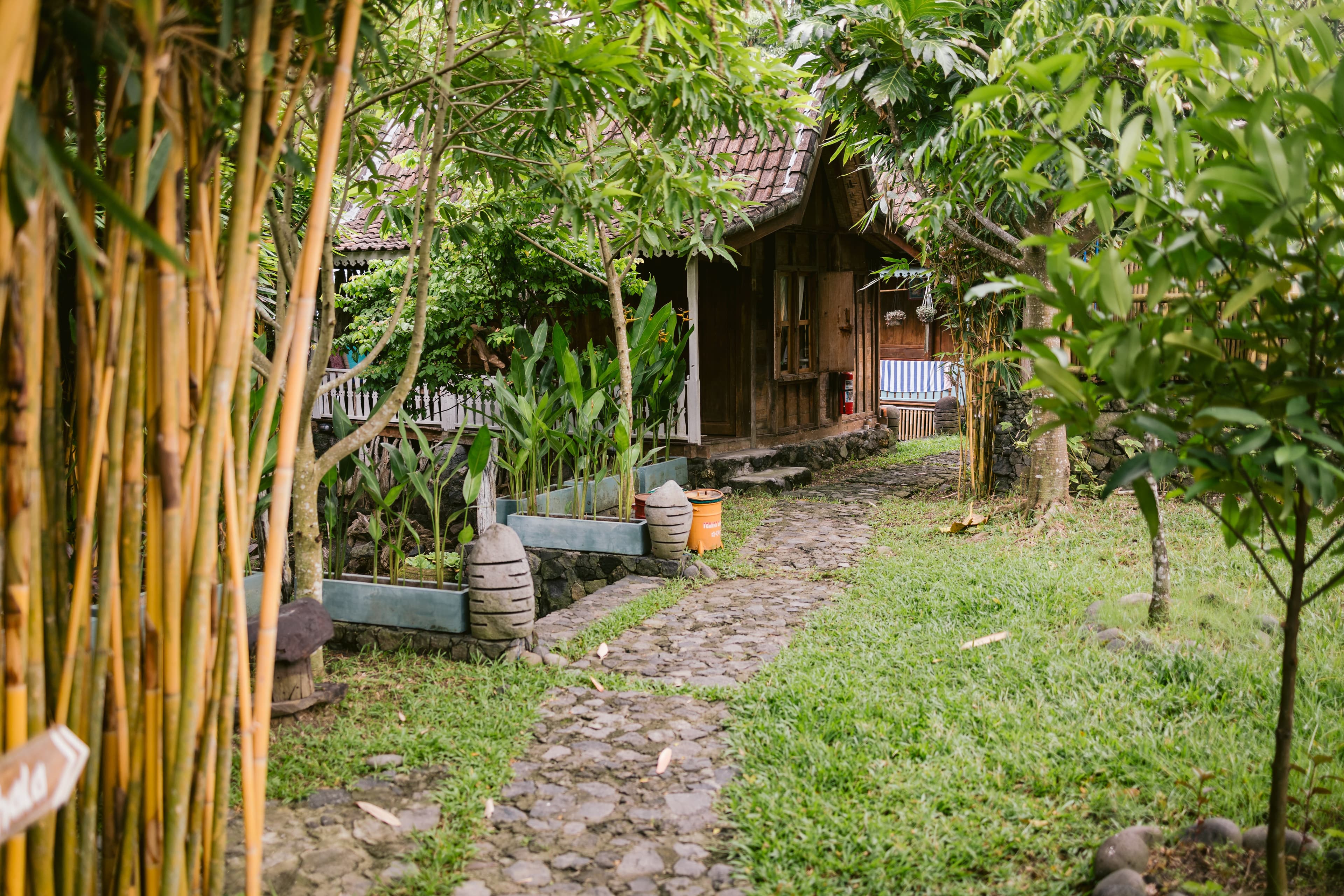 Canggu, Bali, Indonesia
